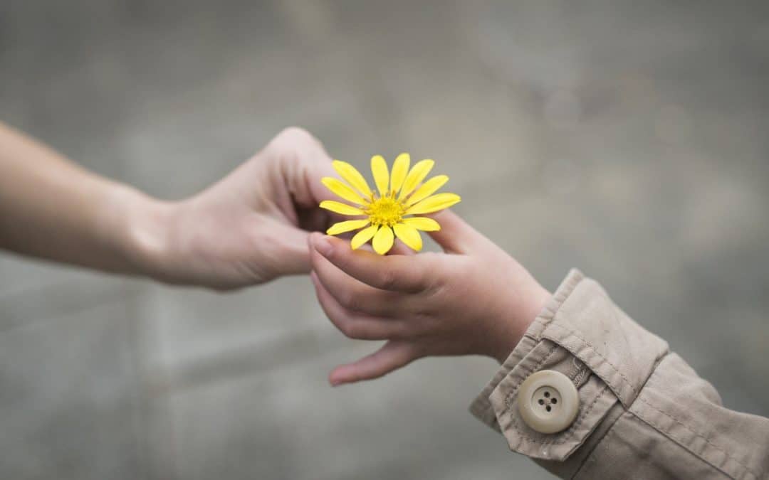 De grootsheid van het kleine : 10 tips voor warme en medelevende zorg
